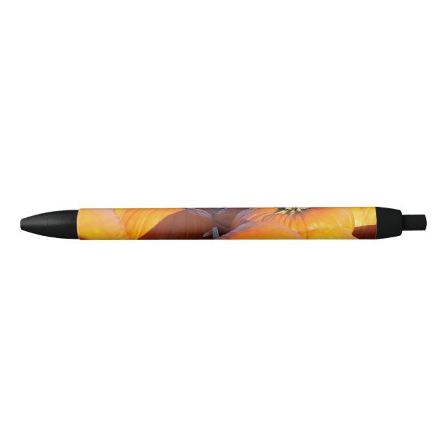 Orange Kürbiskutsche Kugelschreiber (Vorderseite)