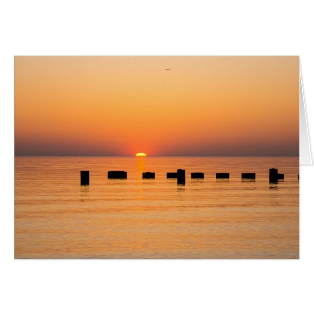 Orange Lake Sunrise (Vorderseite (Horizontal))