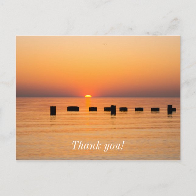 Orange Lake Sunrise Danke Postcard Postkarte (Vorderseite)
