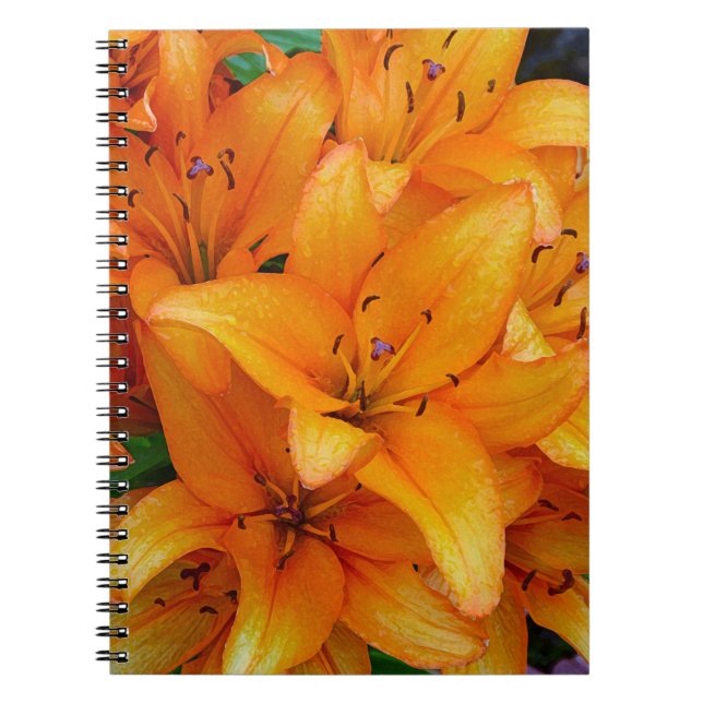 Orange Lilien Blume Design Notebook Notizblock (Vorderseite)
