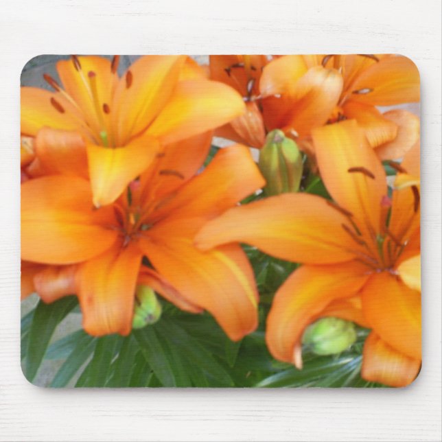 Orange Lilien-Blumen Mousepad (Vorne)