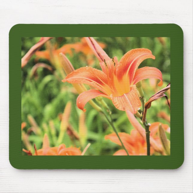 Orange Lilies Dark Green Border Mousepad (Vorne)