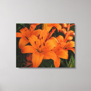 Orange Lilies Wrapped Canvas Leinwanddruck