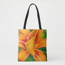 Orange Lily