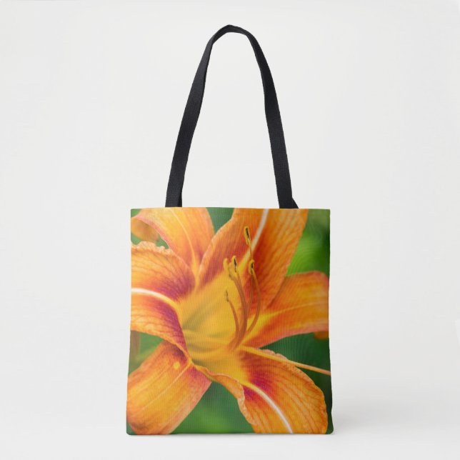 Orange Lily (Vorderseite)