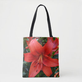 Orange Lily Bloom Floral