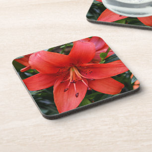 Orange Lily Bloom Floral Getränkeuntersetzer
