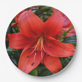 Orange Lily Bloom Floral Pappteller