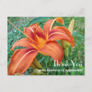 Orange Lily Blume Geschenk Vielen Dank Postkarte