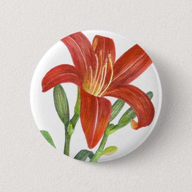 Orange Lily Botanical Illustration Button (Vorderseite)