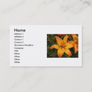 Orange Lily Business Card Visitenkarte