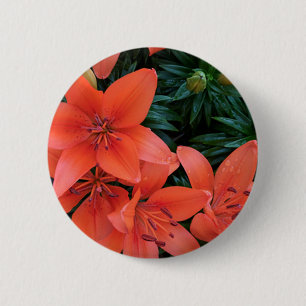 Orange Lily Button