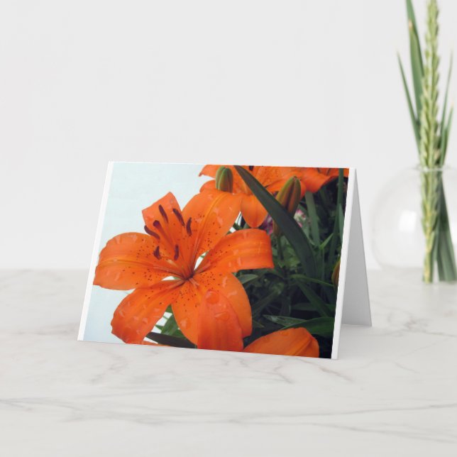 Orange LIly Feiertagskarte (Vorderseite)