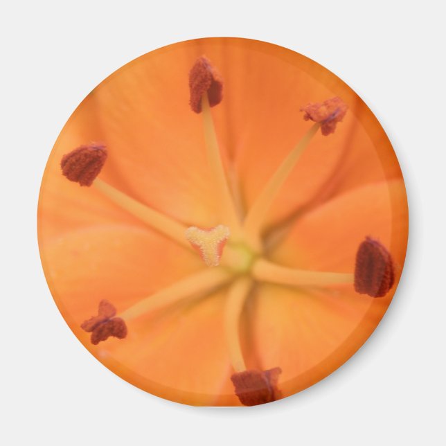 Orange Lily Floral Magnet (Vorne)