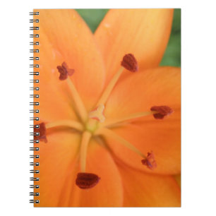 Orange Lily Floral Notebook Notizblock