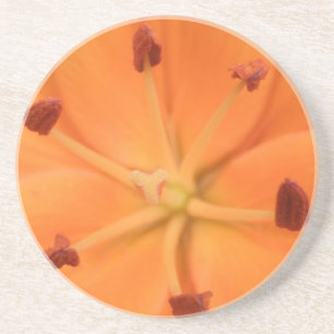 Orange Lily Floral Untersetzer