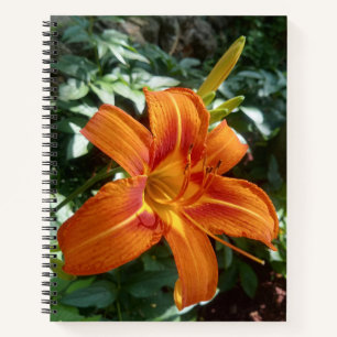Orange Lily Green Blätter Blume Foto Journal Notizbuch