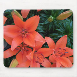 Orange Lily Mousepad