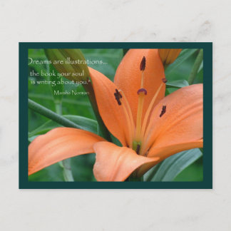 Orange Lily Postkarte
