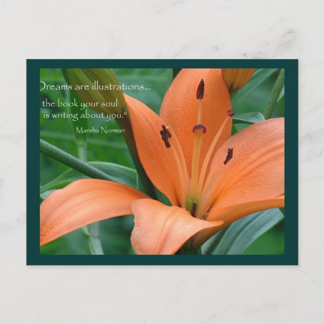 Orange Lily Postkarte (Vorderseite)