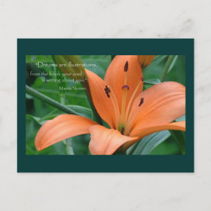 Orange Lily Postkarte