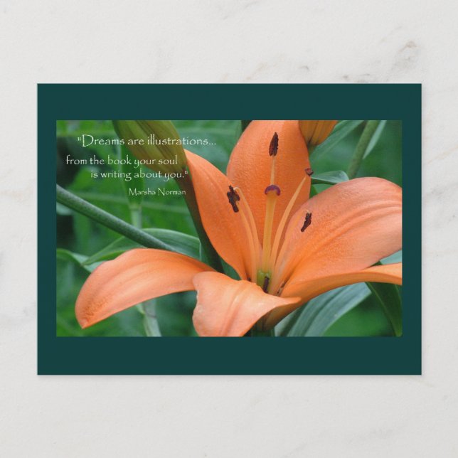 Orange Lily Postkarte (Vorderseite)