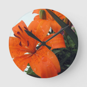 Orange LIly Runde Wanduhr