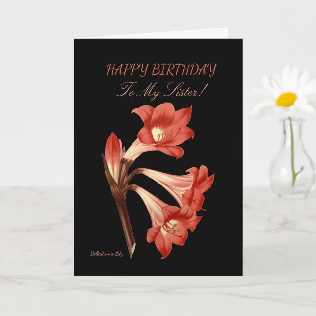 Orange Lily Sister Birthday Karte (Kleine Pflanze)