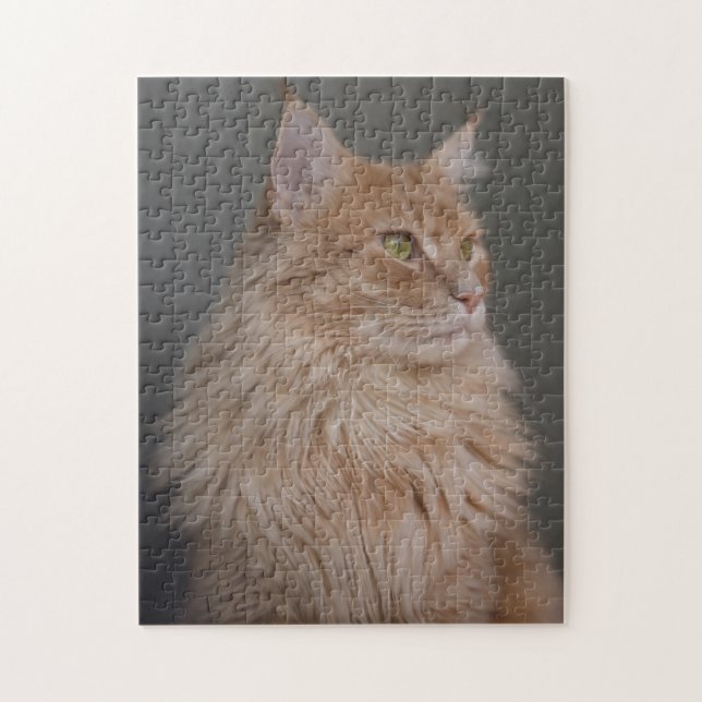 Orange Longhair Cat Puzzle (Vertikal)