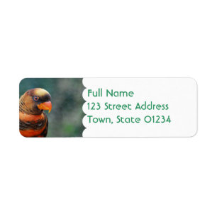 Orange Lorikeet Postsendung-Aufkleber