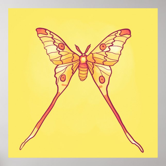 Orange Luna Moth Art - Farbiges Insekt Poster (Vorne)