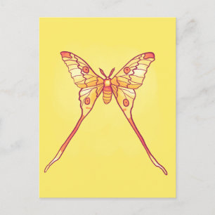 Orange Luna Moth Art - Farbiges Insekt Postkarte