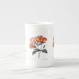 Orange Lychnis Redoute Prozellantasse