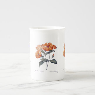 Orange Lychnis Redoute Prozellantasse