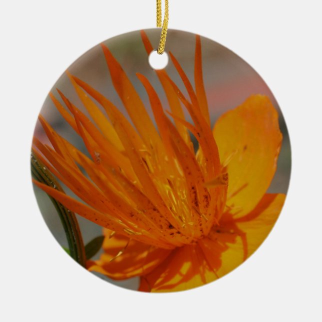 Orange Macro Blume Ornament (Vorne)