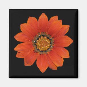 Orange Magnet der Blumen-2