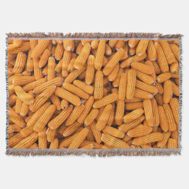 Orange Mais Cob: Ernte Landwirtschaft Hintergrund Decke (Vorderseite)