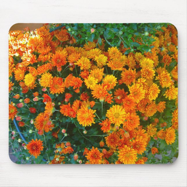 Orange Margarita Daisy Mousepad (Vorne)