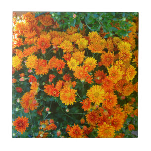 Orange Margarita Daisy Tile Fliese