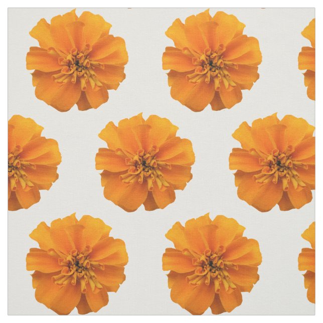 Orange Marigold Blume auf weißem Stoff (Muster)