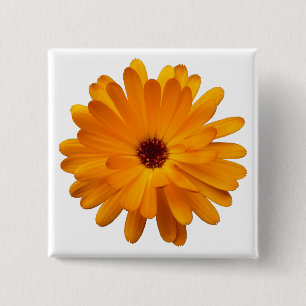 Orange Marigold Button