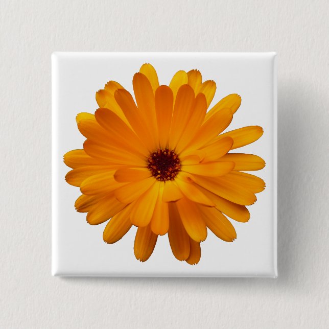 Orange Marigold Button (Vorderseite)