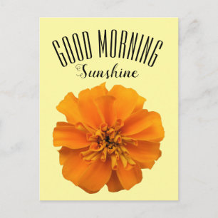 Orange Marigold Good Morning Sunshine Postkarte