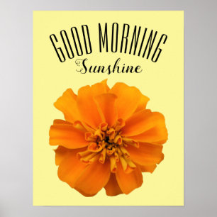 Orange Marigold Guten Morgen Sonnenschein Poster