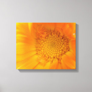 Orange Marigold Macro Canvas Print Leinwanddruck