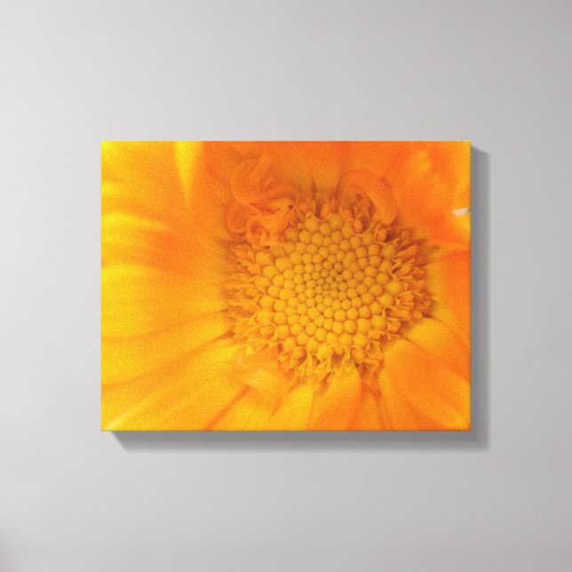 Orange Marigold Macro Canvas Print Leinwanddruck (Vorderseite)
