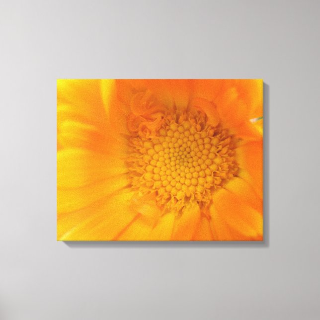Orange Marigold Macro Canvas Print Leinwanddruck (Vorderseite)