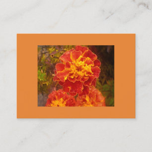 Orange Marigold Visitenkarte