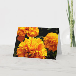 "Orange Marigolds"-Karte Karte