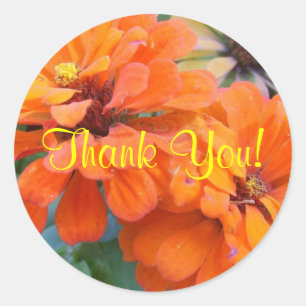 Orange Marigolds Runder Aufkleber